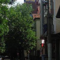 周辺は緑が多いです