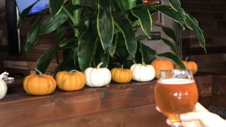 ワイキキの中心部で味わえるハワイのクラフトビール