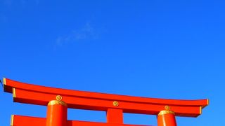 青空に映えて迫力がありました