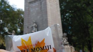 トランプタワーにも近い円形広場の中央にコロンブスの像がある