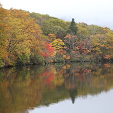 紅葉が映える静かな湖面