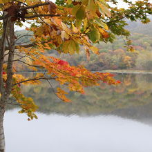 色づき始めた湖畔の紅葉