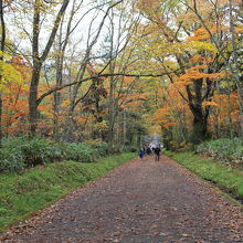 参道入口からすぐの場所　紅葉がきれい