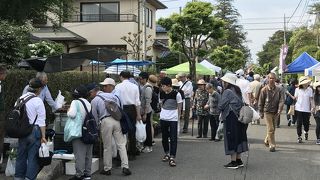どの盆栽園もオープンです。