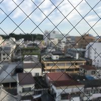 部屋より、いわき駅方向と緑の繁みは磐城平城跡