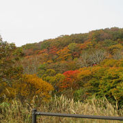 紅葉が美しかった。