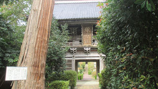 佐渡では珍しく拝観料が必要。