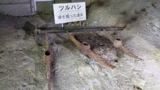 ガイドさんが付いて丁寧に案内してくれる