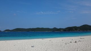 とにかく魚がおおい