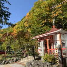 建物裏手の紅葉が綺麗でした。