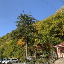 観音堂の背後の紅葉が綺麗でした。