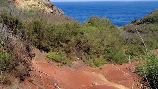 頂上から眺め！