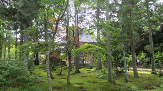 苔がきれいでした。