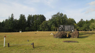 周囲は人家が少なく、林に囲まれていました。