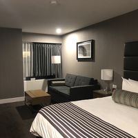 クッションがいっぱい