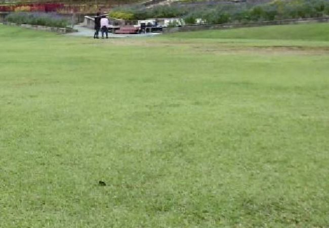 和歌山県植物公園緑花センター