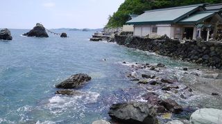 かえる好きは必見です。