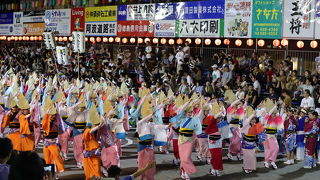 鳴門市阿波おどり