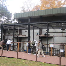 冬は見られなくなりますので、夏季営業期間中に是非ご訪問を！