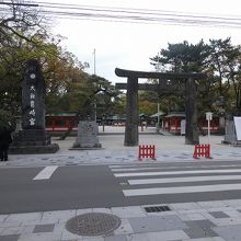 形が珍しいらしいけど、意味分からず