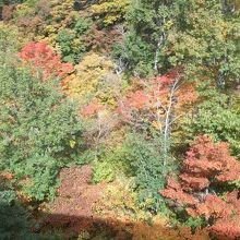 車窓からの眺め③