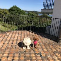 ライオンと一緒のポーズ