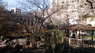 音無親水公園から、飛鳥山公園に行く場合、音無橋の横に設置されている無料エレベーターを利用するとらくちん