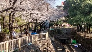 江戸時代風の建築物もあって、良い雰囲気です。