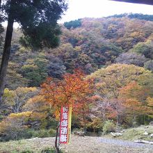 特産物市場が開催されていたようですが，終わっていました