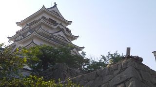 なかなかの迫力。