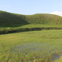 水堀が残っていますが草が生い茂っていました。