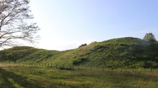 道路を隔てて二子山古墳に近い