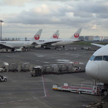 いつでも飛行機がたくさん見られます