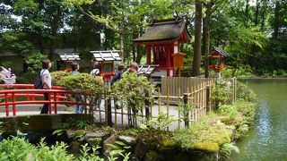 お水をくめます。