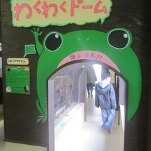 わくわくドーム入口自体は可愛らしいケロケロさんデザインです