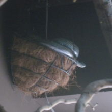 この子がカエルさん、食べちゃったのかな？？？