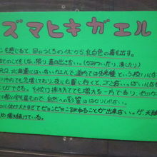 やはり最近の旭川近郊ではこの子達のことが気になります…。
