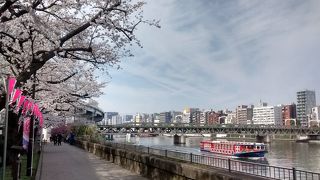 特急列車スペーシアを眺めるのに最高なのは、浅草駅から出た電車が隅田川を渡る橋を通るとき