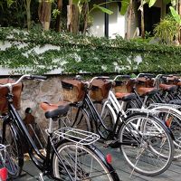 無料レンタルの自転車