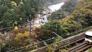 まだ少し紅葉が早い