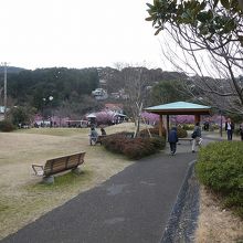 足湯で休憩、トイレもあります