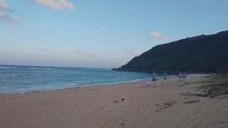 あまり手入れされておらず