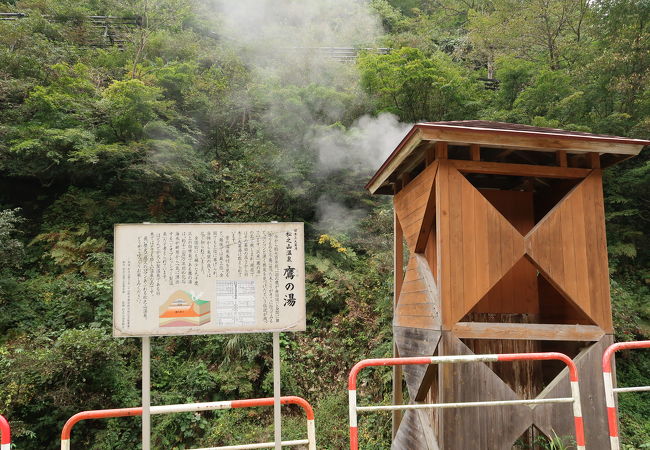 松之山温泉の源泉です