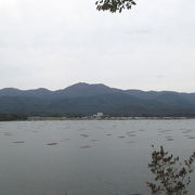 椎崎神社近くに加茂湖展望の丘がありました。