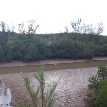 ワニが出てきそうな雰囲気です