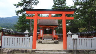 場所といい規模といいちょっと寂しい