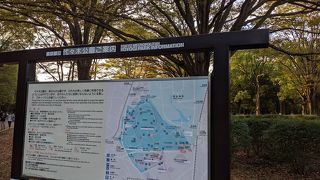 代々木公園を散策