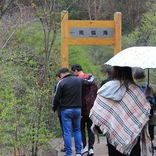 九寨溝 熊猫海