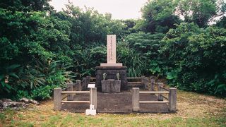 凄い勢いで自然に帰ろうとしています。