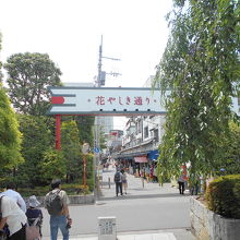 浅草花やしき通り